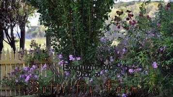 Jardín