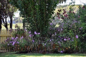 Jardin