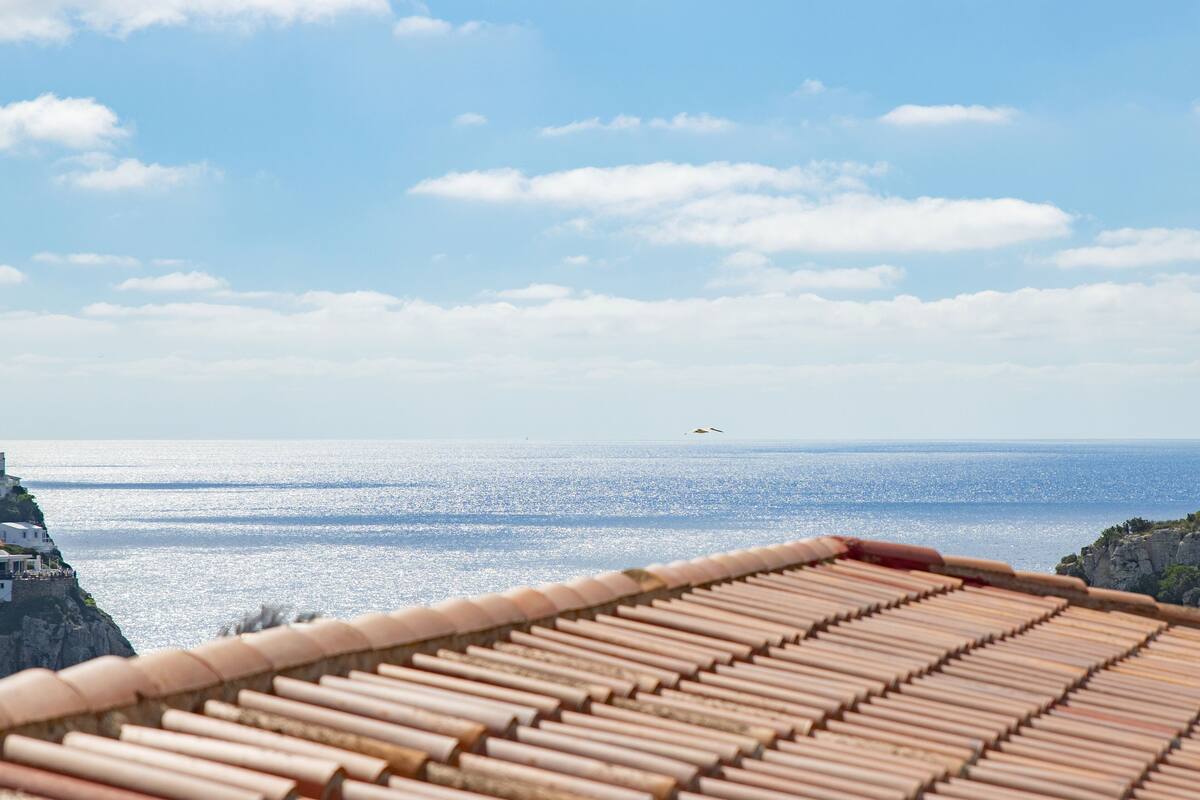 Une vue sur la côte, avec un toit en tuiles au premier plan et un oiseau volant au loin, au-dessus de la mer.