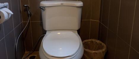 A bathroom with a toilet, a shower, and a window.