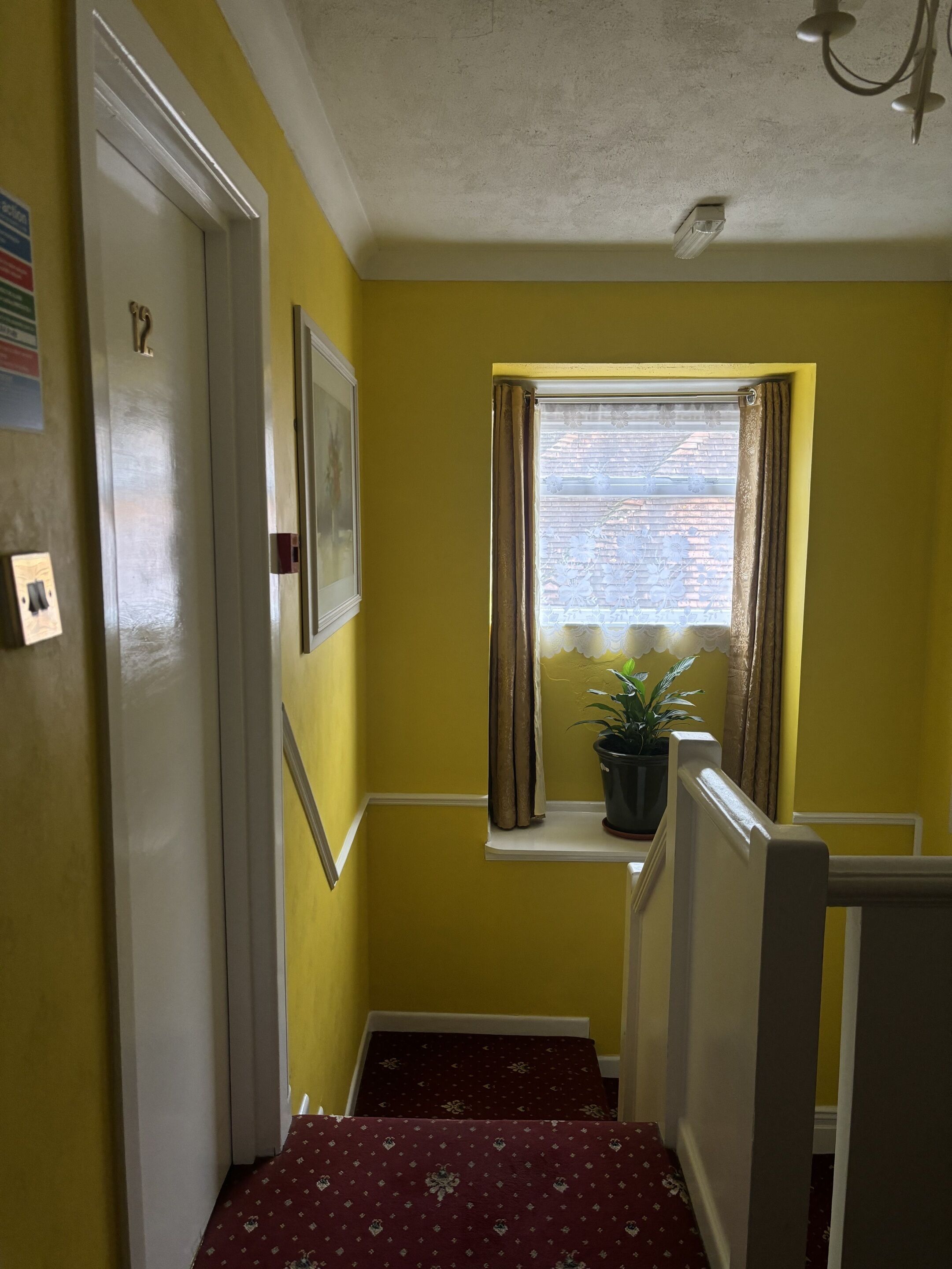Un couloir aux murs jaunes, une fenêtre avec des rideaux, une plante en pot et une porte portant un numéro.