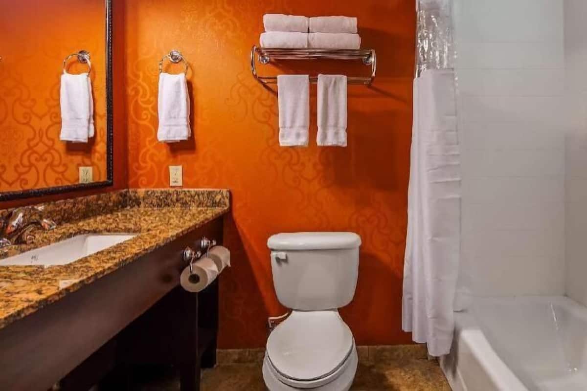 A bathroom with a granite countertop, a toilet, a towel rack with towels, and a shower curtain.
