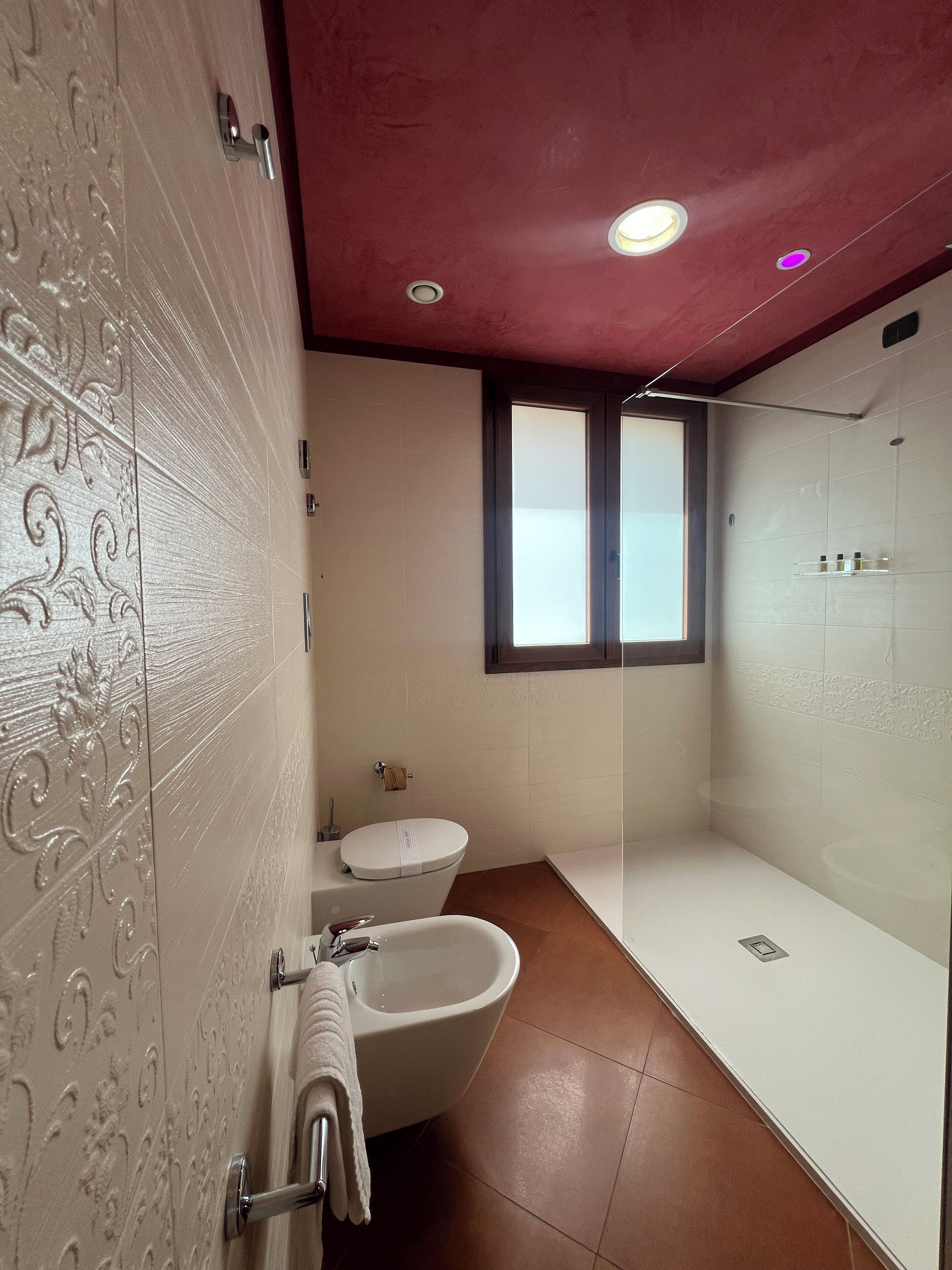 A bathroom with a toilet, bidet, and shower.