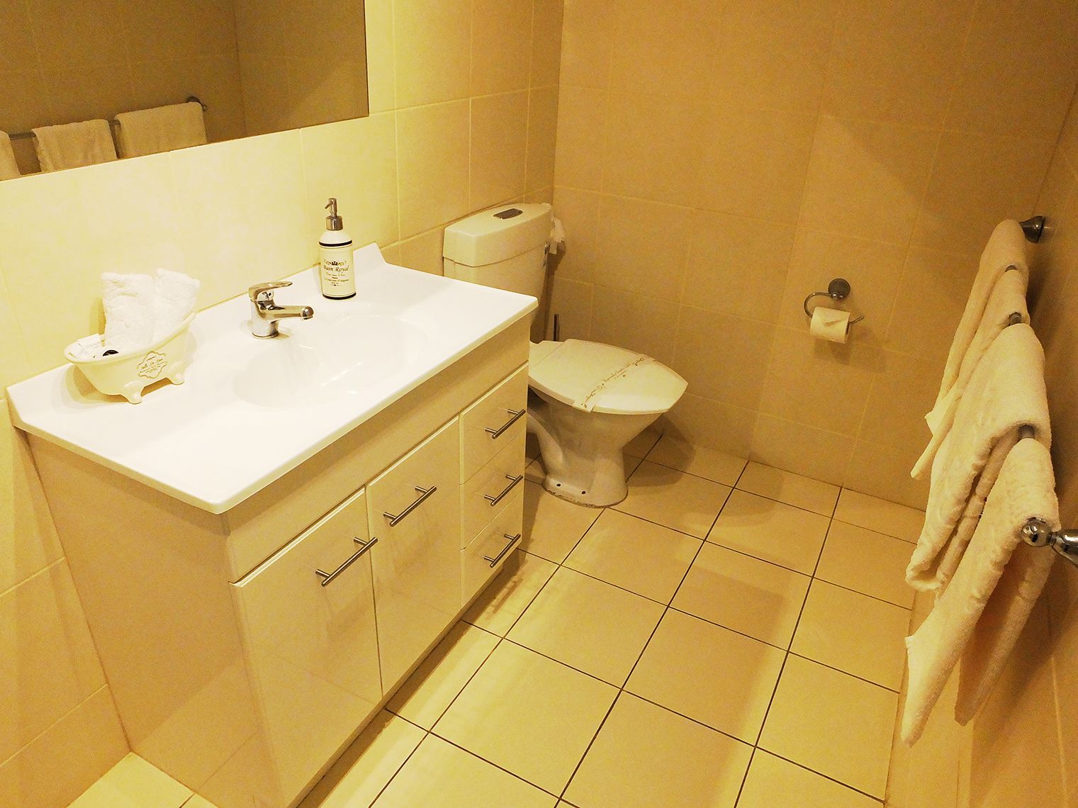 Classic Double Room, 1 Queen Bed | Bathroom | Shower, free toiletries, hair dryer, bathrobes