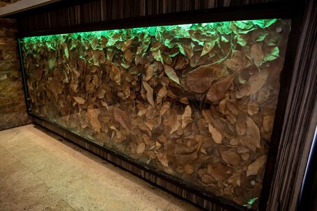 CIQALA Luxury Suites - Image 41