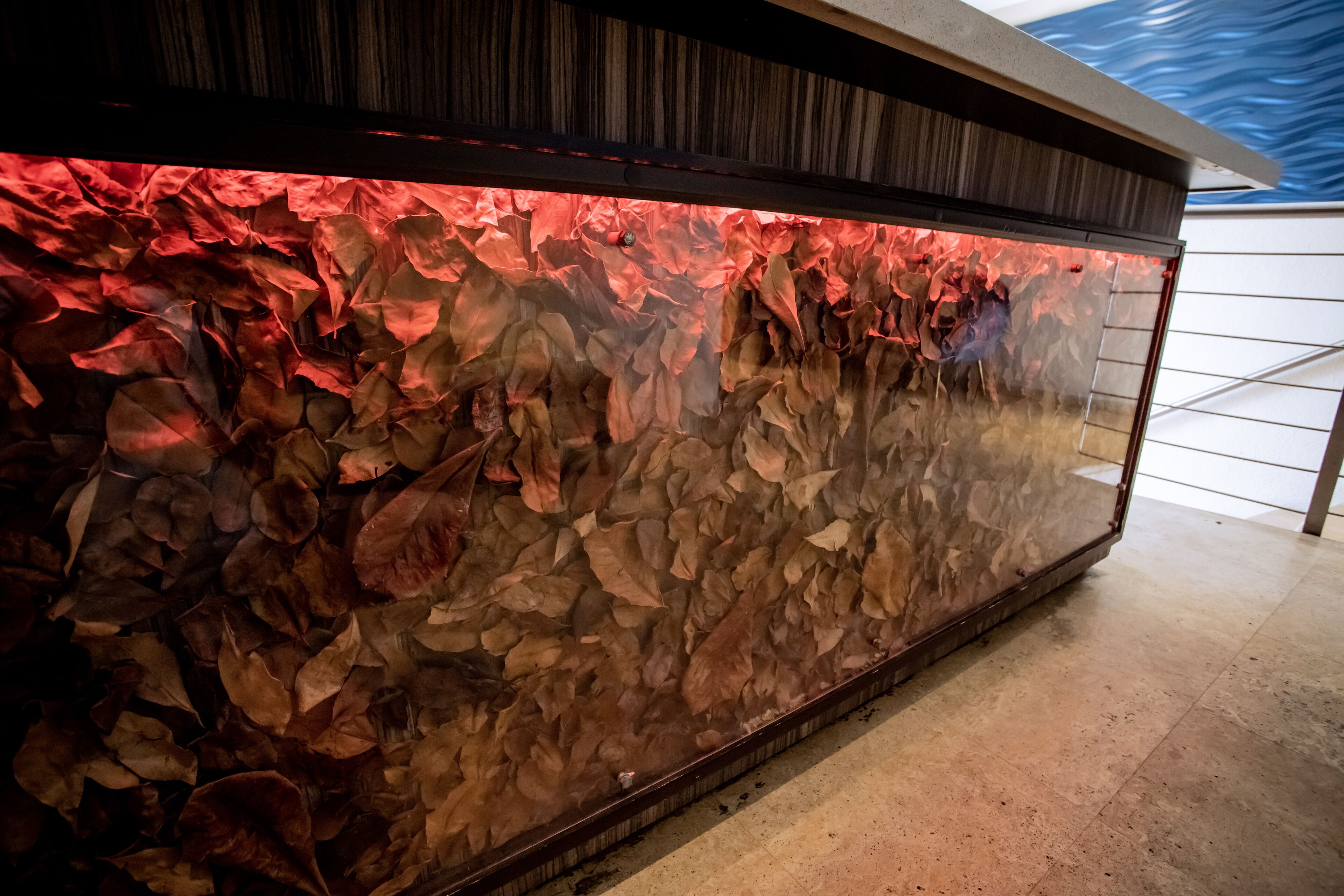 Photo - Ciqala Suites Hotel - San Juan