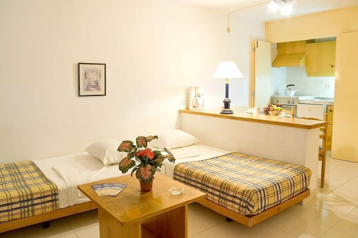 Basic Studio, City View | Memory foam beds, in-room safe