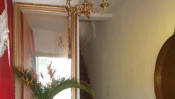 Un pasillo con escalera, una araña, una planta en maceta y un espejo.