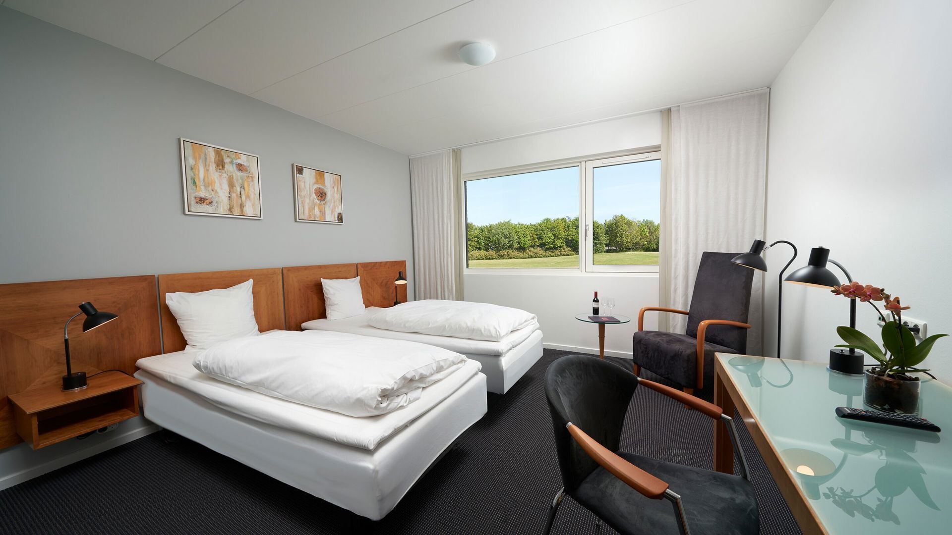Hypo-allergenic bedding, desk, laptop workspace, free WiFi