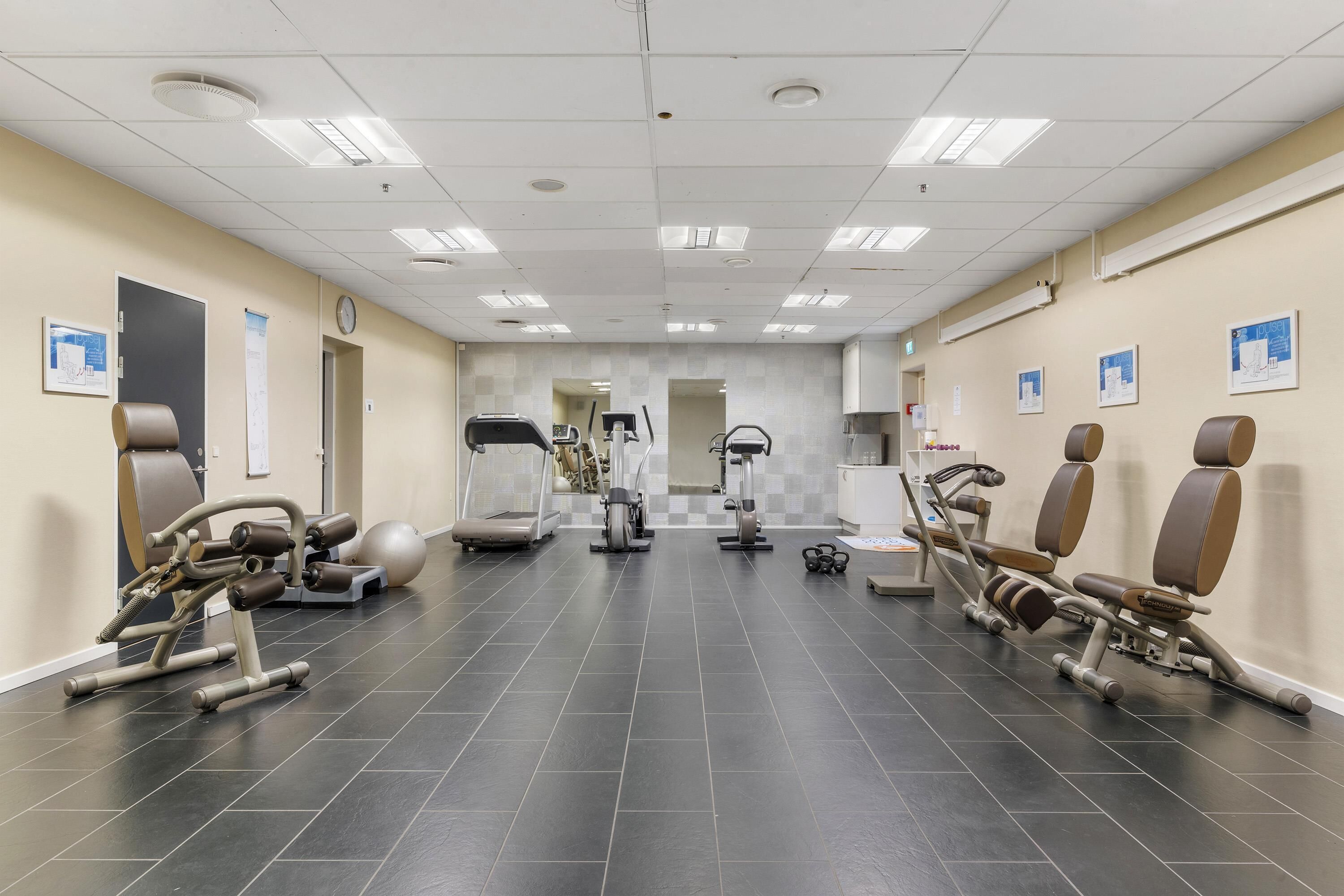 A gym with exercise machines, a treadmill, and a mirrored wall.