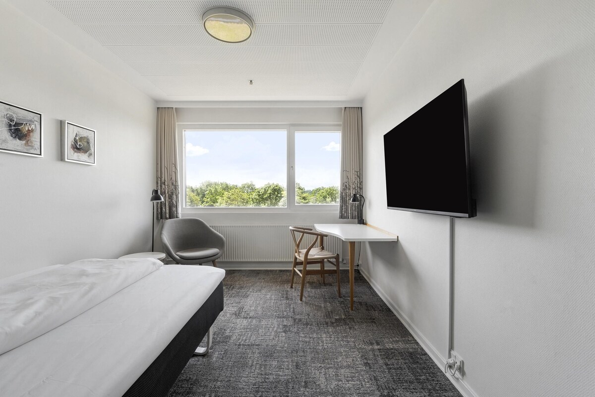 Habitación de hotel con cama, escritorio, silla, televisión y ventana con vistas.
