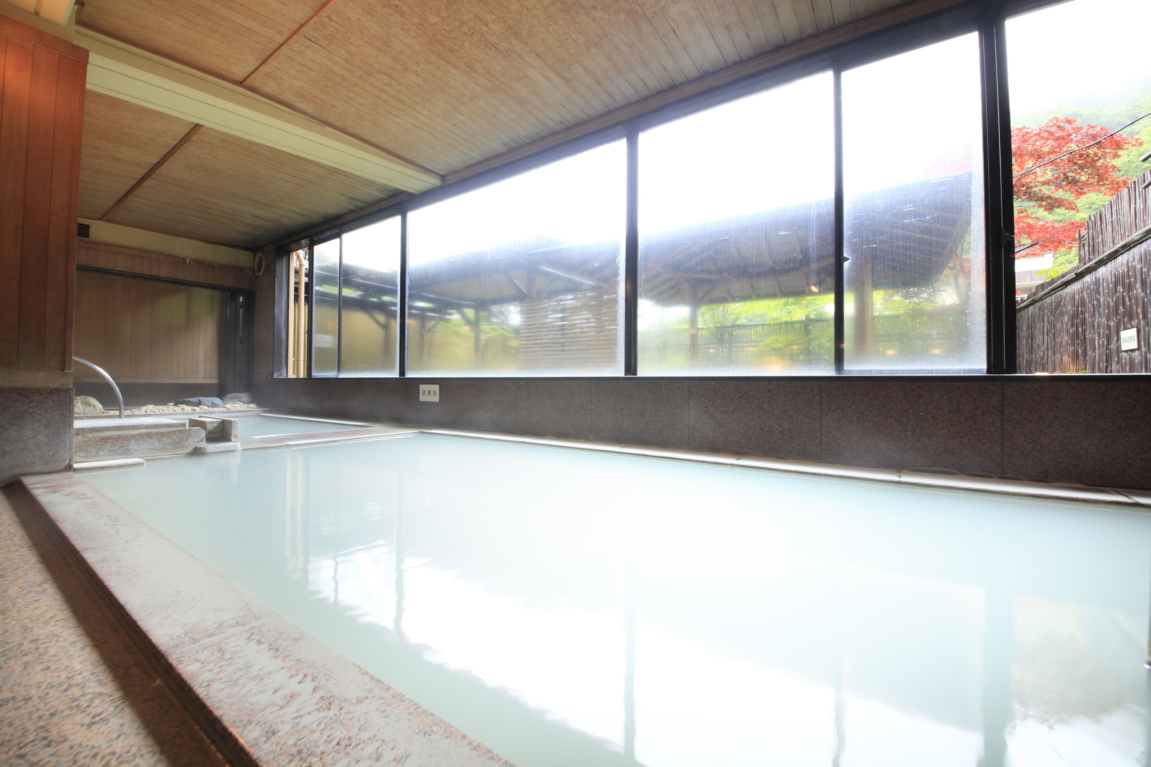 Una piscina al coperto con vista su una struttura in legno e un albero dalle foglie rosse all'esterno.