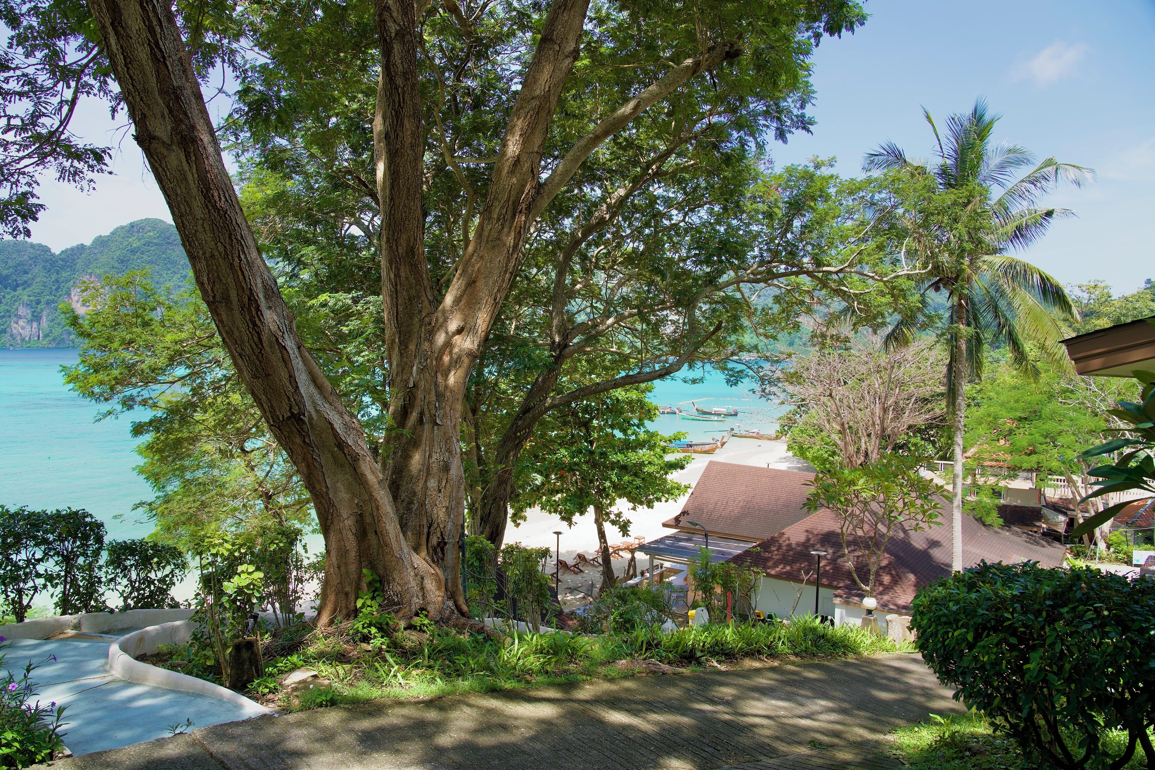 Land view from property