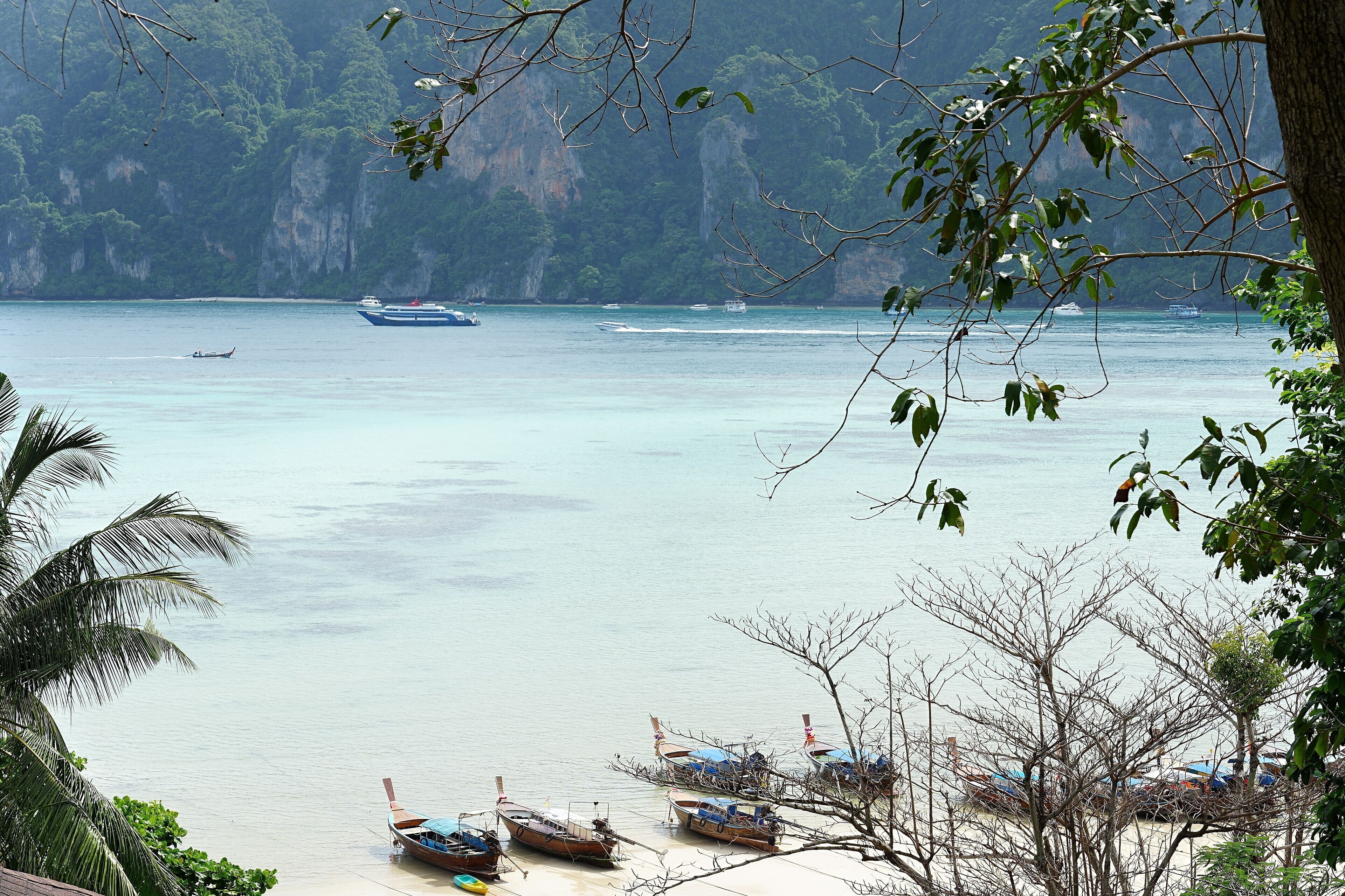 A coastal view with boats docked near the shore, surrounded by lush greenery and cliffs.