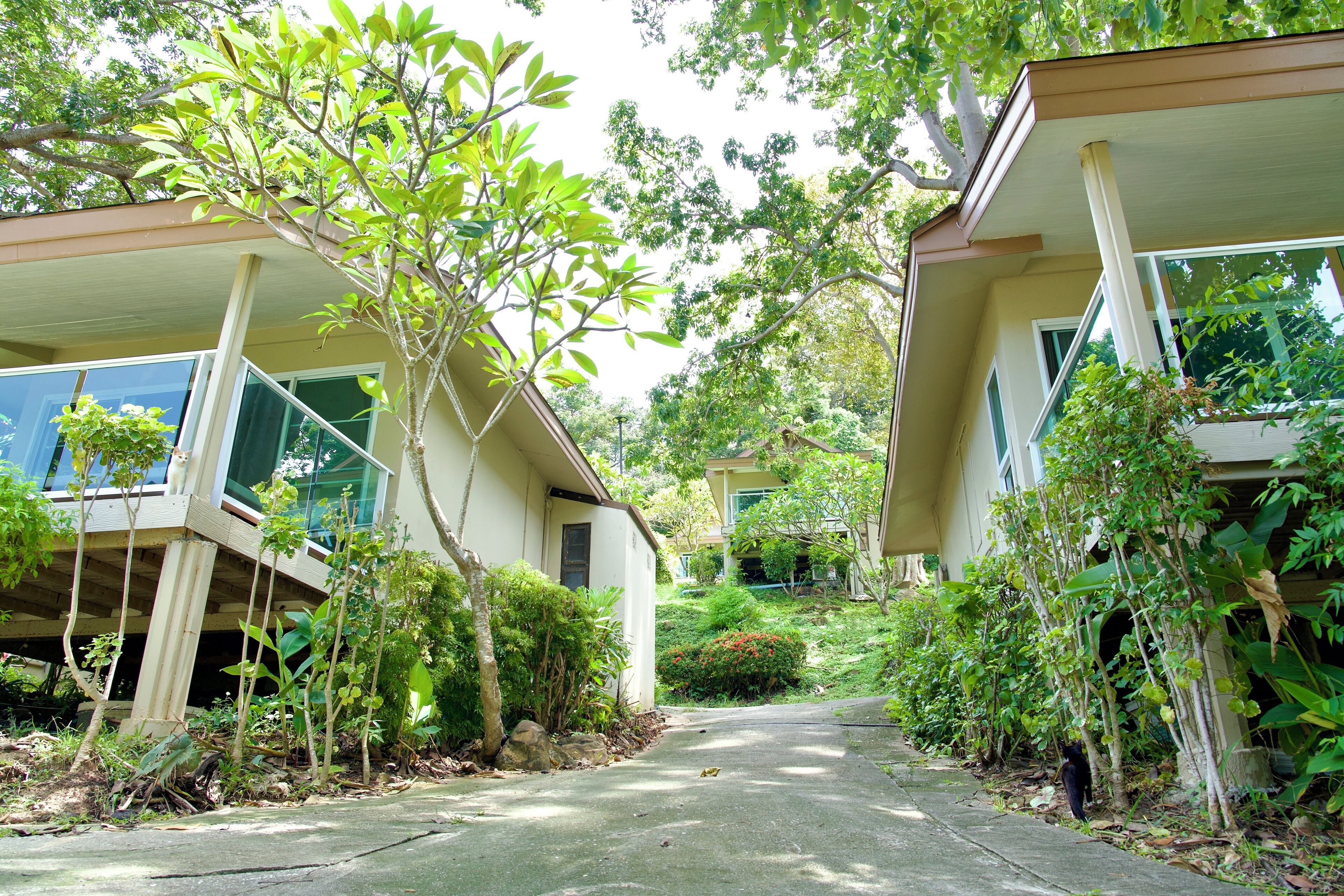 A residential area with two-story houses, a concrete pathway, and lush greenery.
