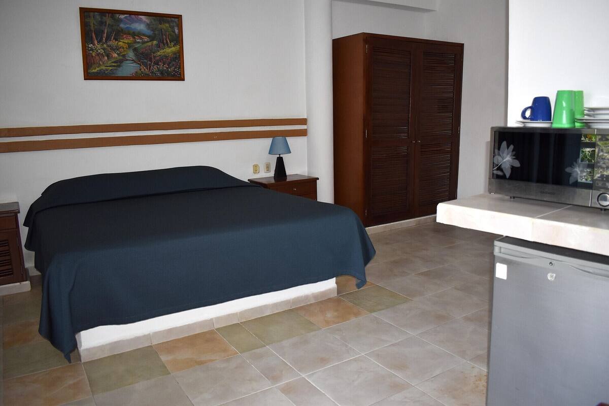 Minibar, in-room safe, blackout drapes, iron/ironing board (on request)