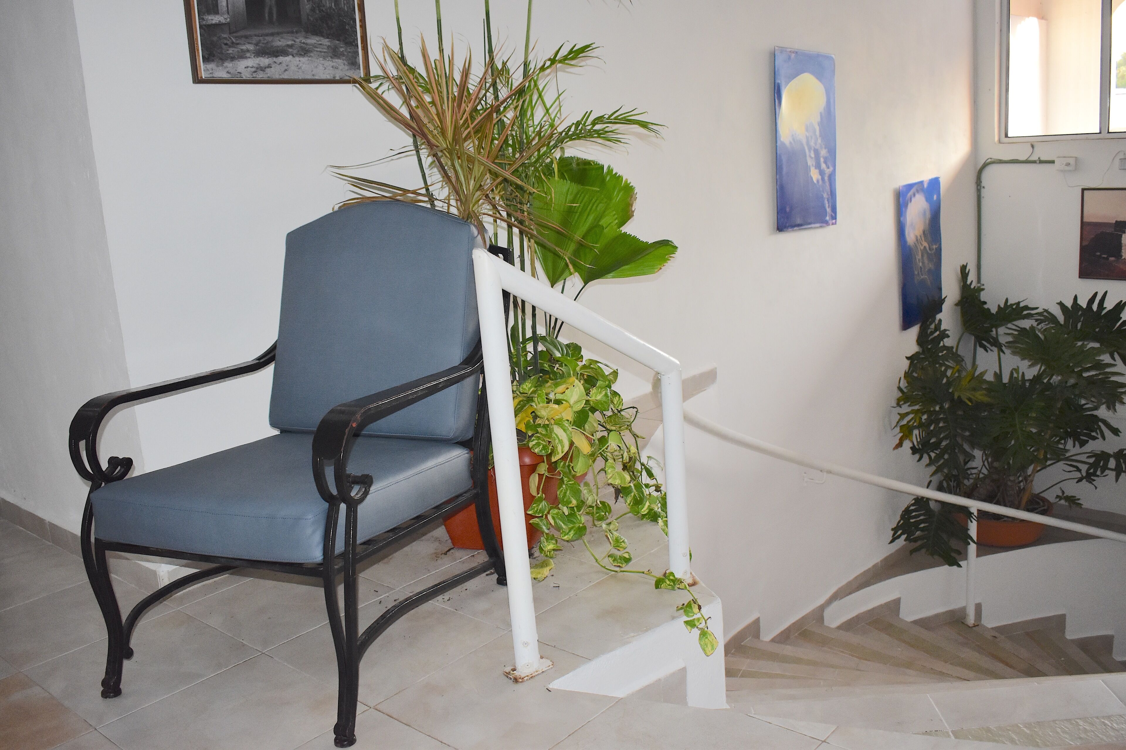 Foto - Plaza Almendros Hotel Isla Mujeres