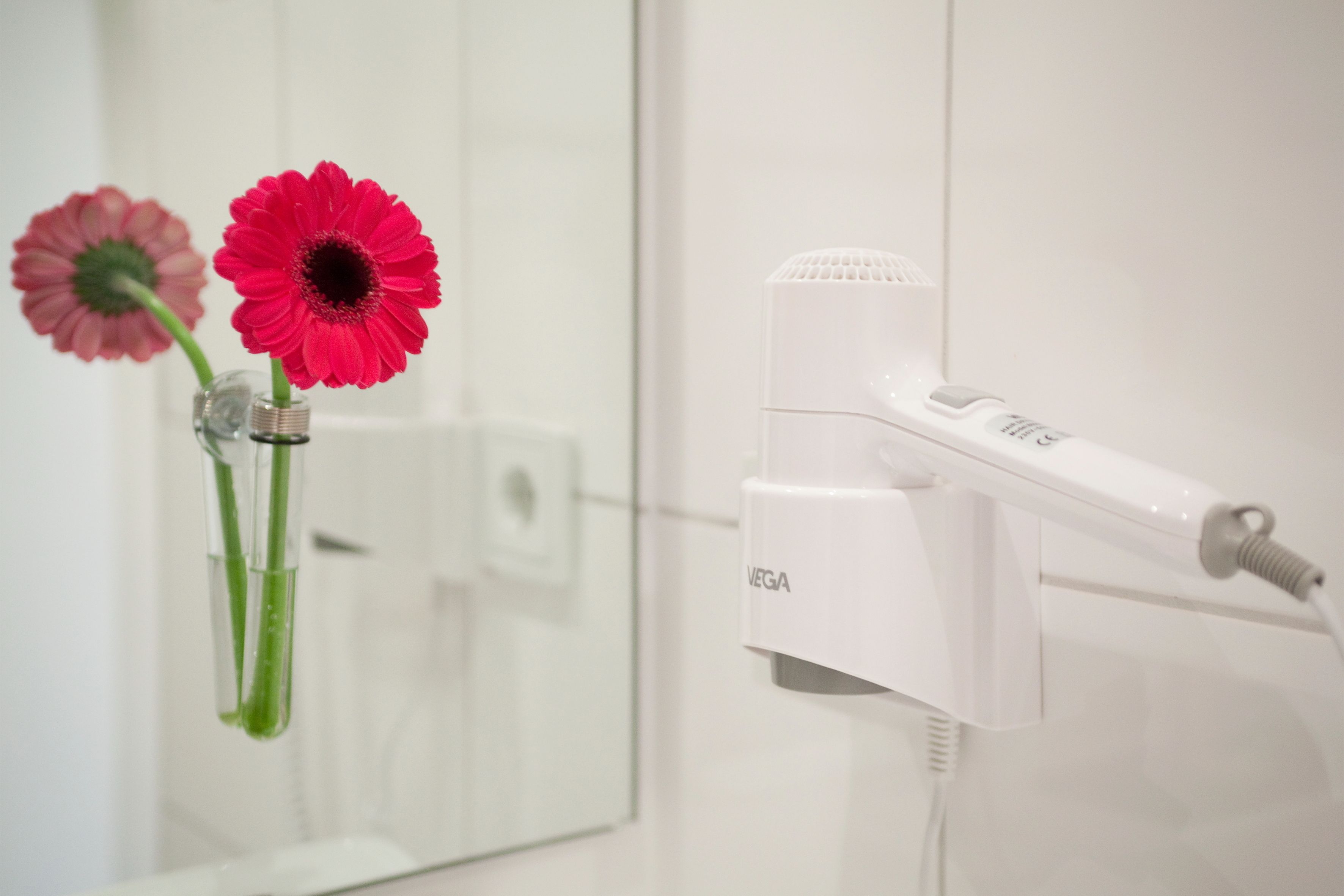 free toiletries, hair dryer, towels