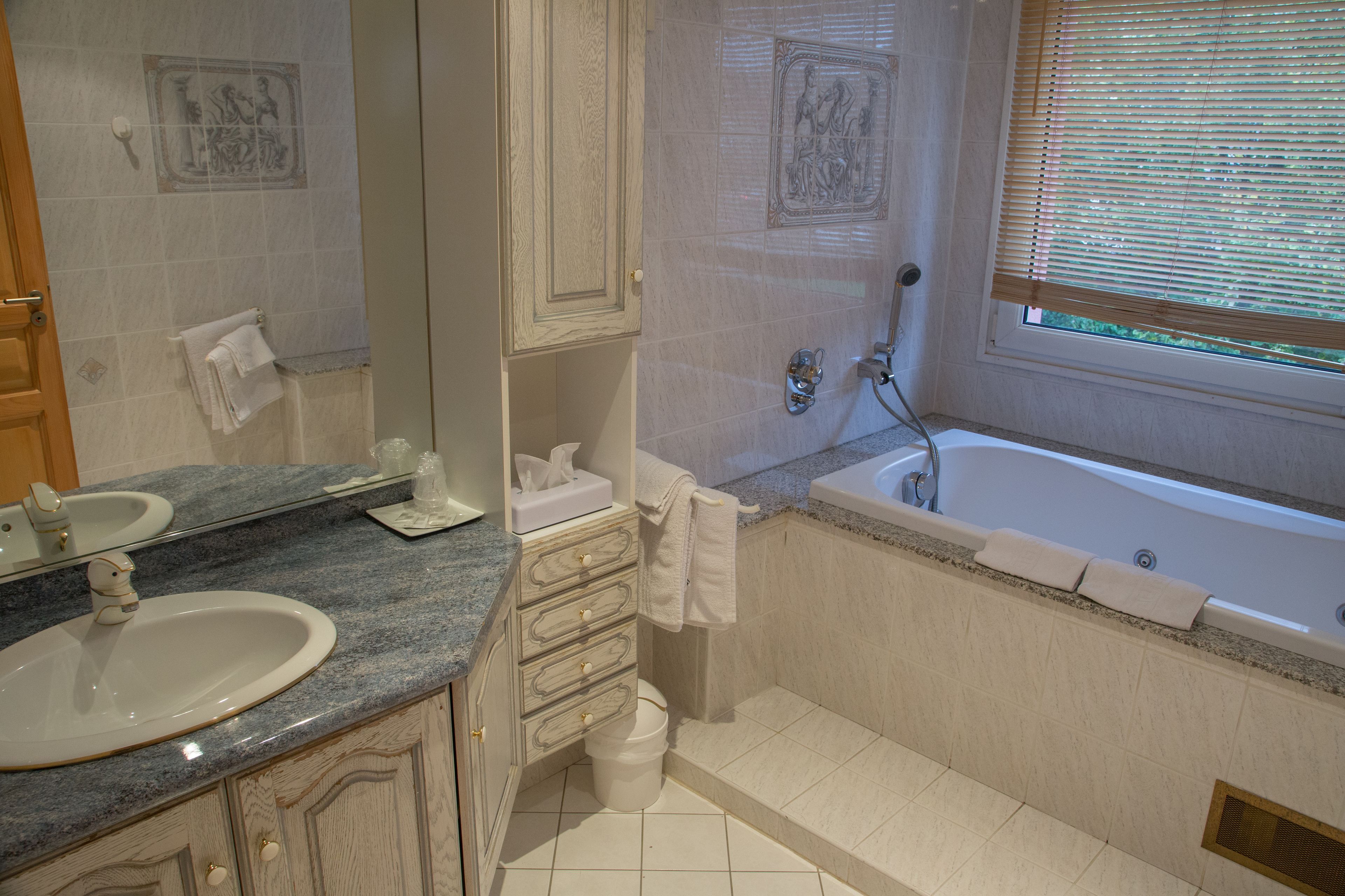 free toiletries, hair dryer, towels