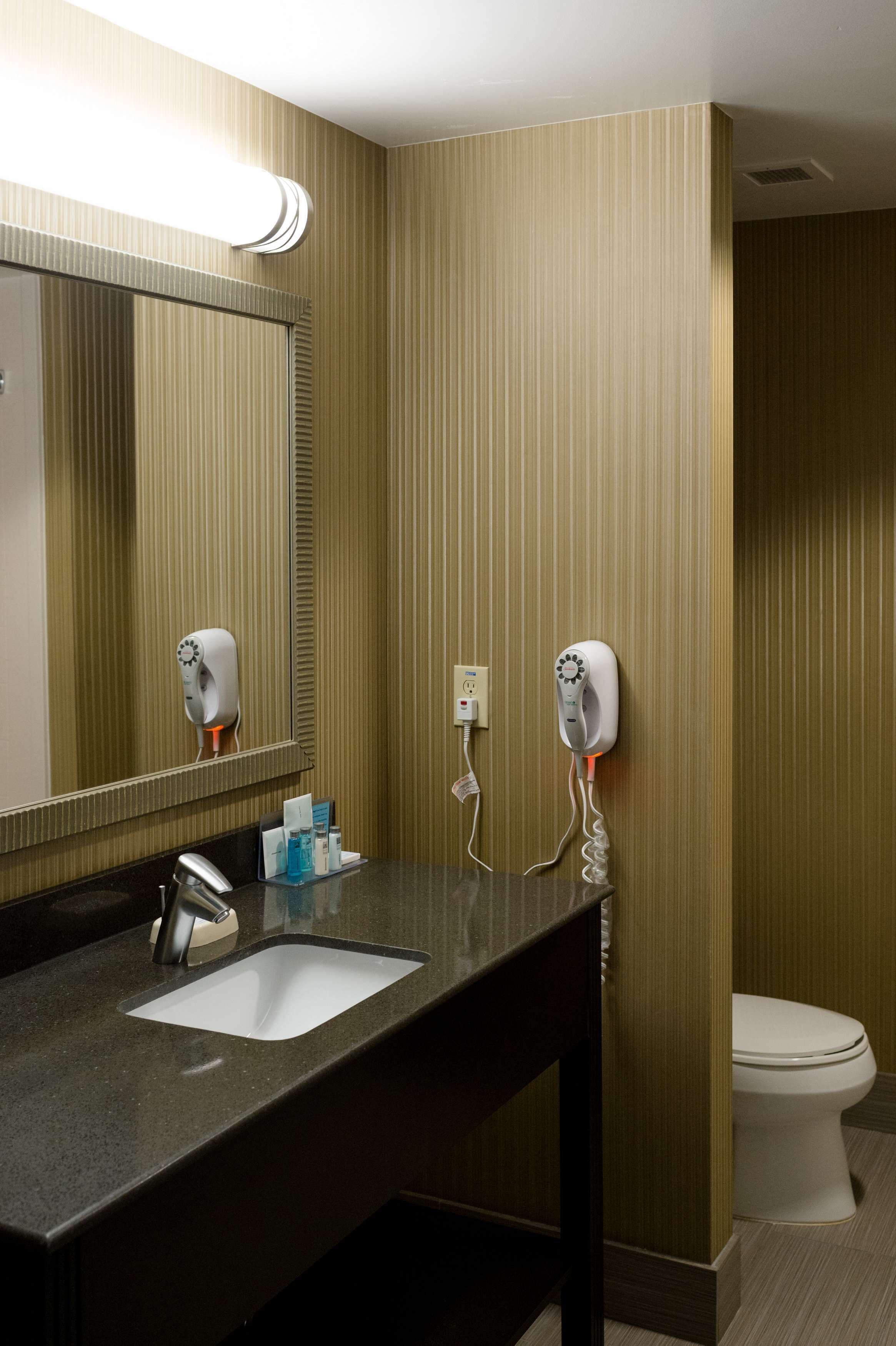 room, 1 king bed with sofa bed, non smoking | bathroom | combined shower/bathtub, rainfall showerhead, free toiletries