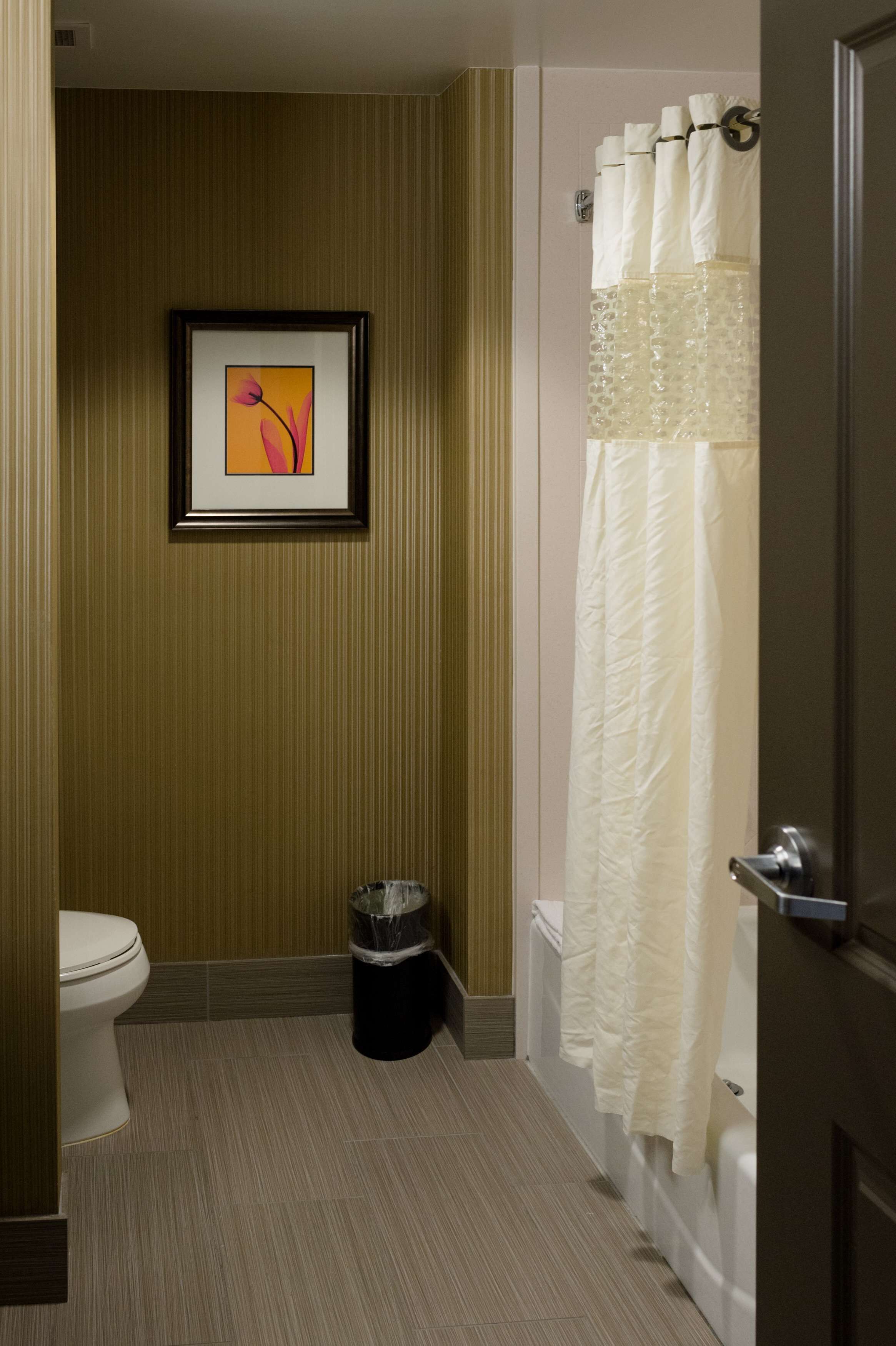 Une salle de bain avec des toilettes, un tableau encadré au mur, une poubelle et un rideau de douche.