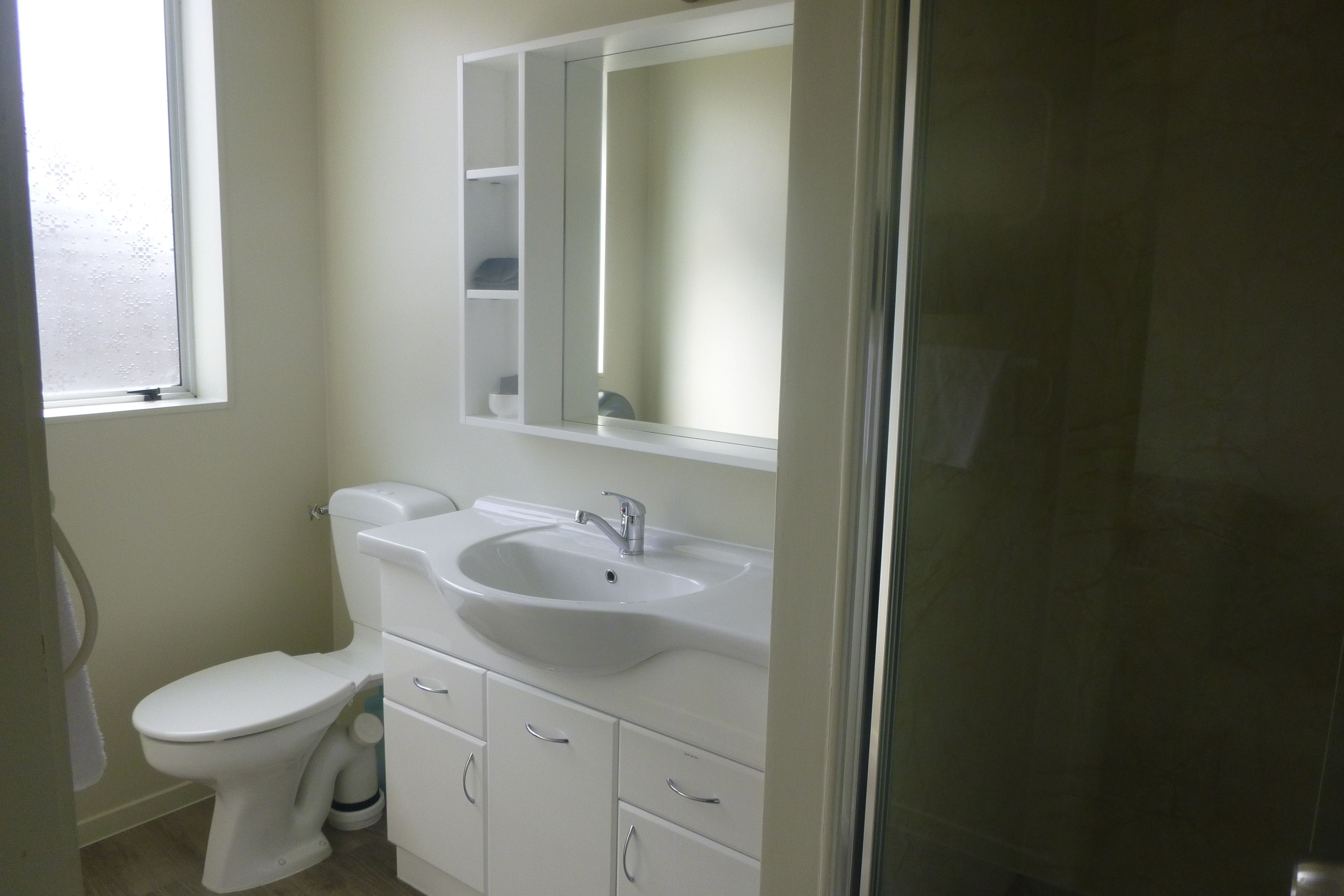 A bathroom with a toilet, a sink, a mirror, and a cabinet.
