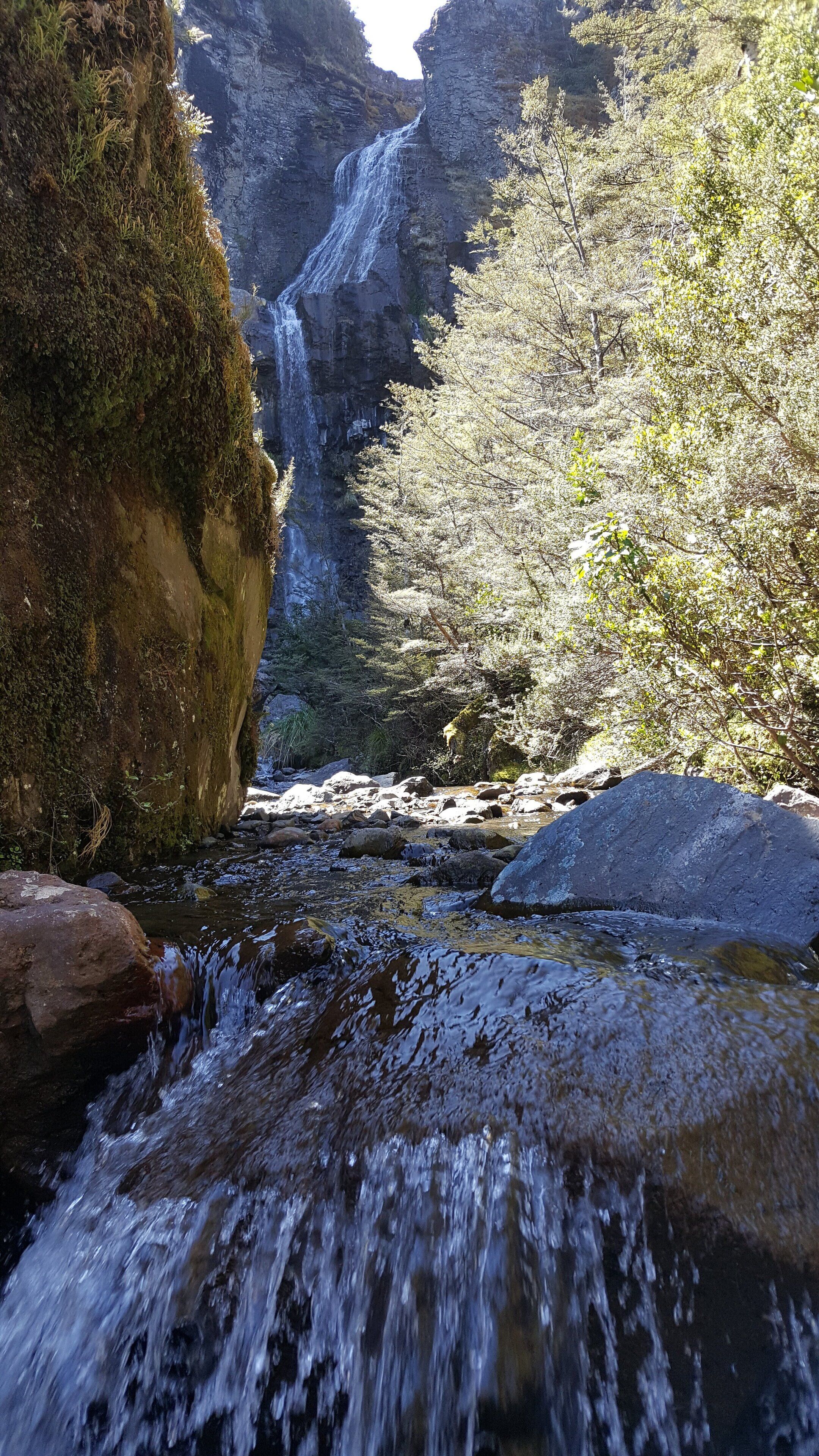 Una cascada se precipita por un desfiladero rocoso rodeado de exuberante vegetación.