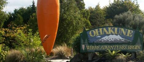 Ein Schild mit dem Text „OHAKUNE – WO DAS ABENTEUER BEGINNT“ und einer großen Karottenskulptur.