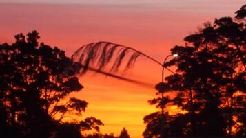 A sunset with silhouettes of trees and a streetlight.