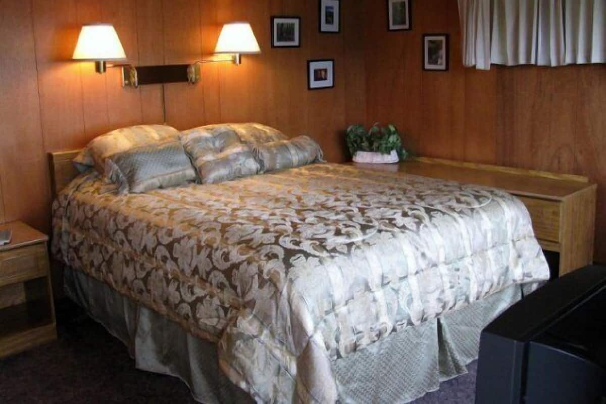 Habitación de hotel con una cama grande, dos lámparas de noche, una pequeña planta en maceta y un cabecero de madera.