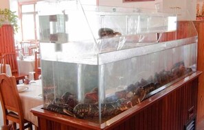 Se sirven almuerzos y cenas