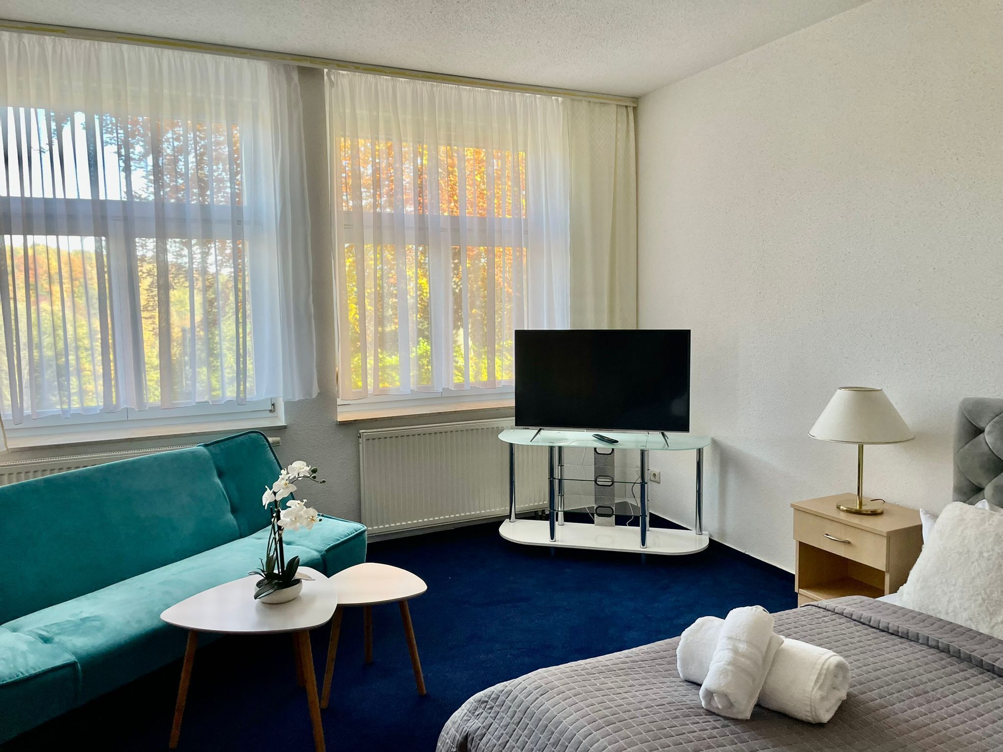 A hotel room with a sofa, a small table with a plant, a bed with a blanket and towels, a TV on a stand, a lamp, and a view of trees through the windows.