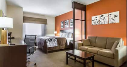 Sleep Inn And Suites Lubbock