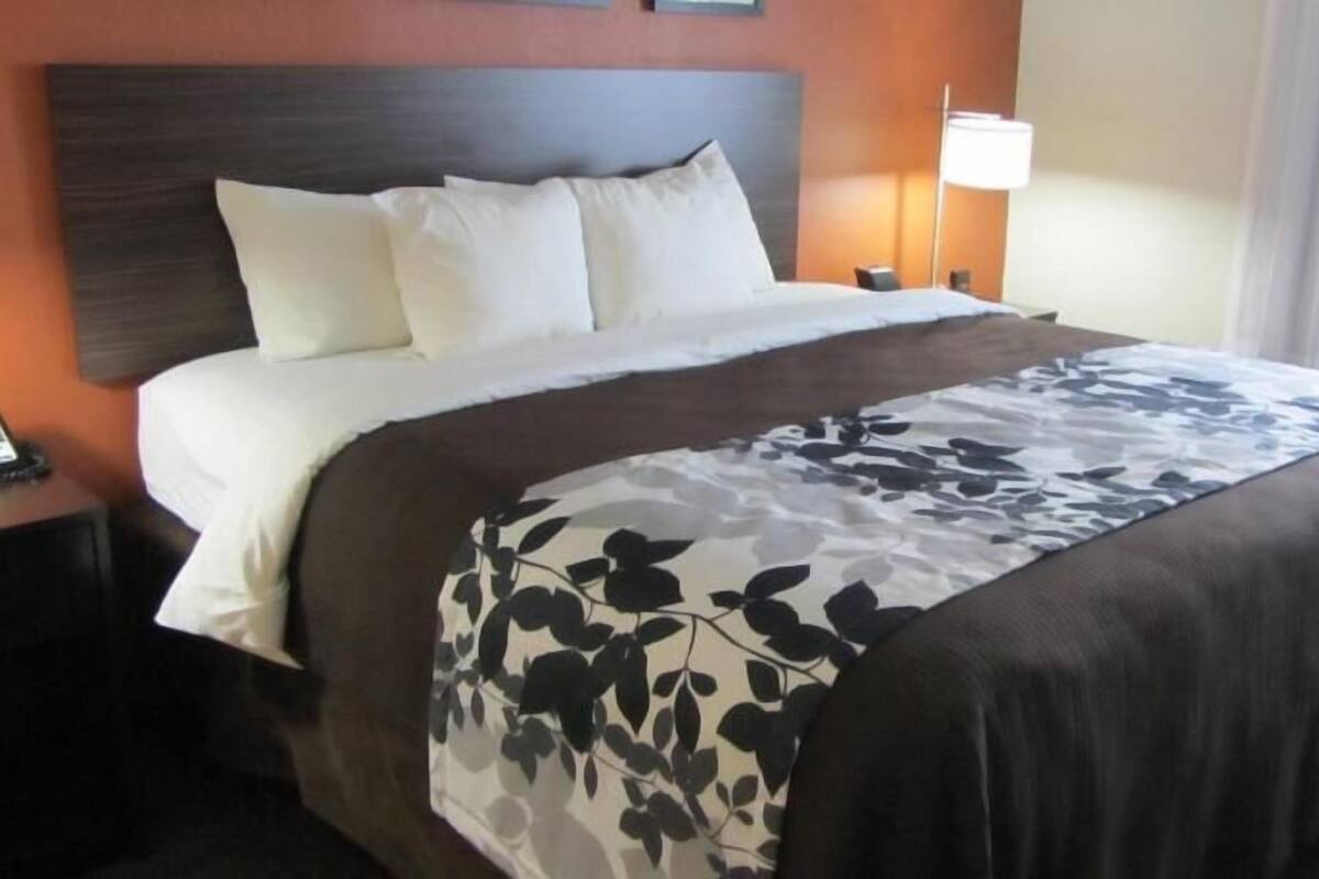 A hotel room with a bed, a nightstand, a lamp, and a window.