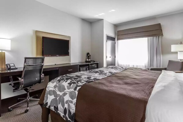 Desk, iron/ironing board, free cribs/infant beds, rollaway beds