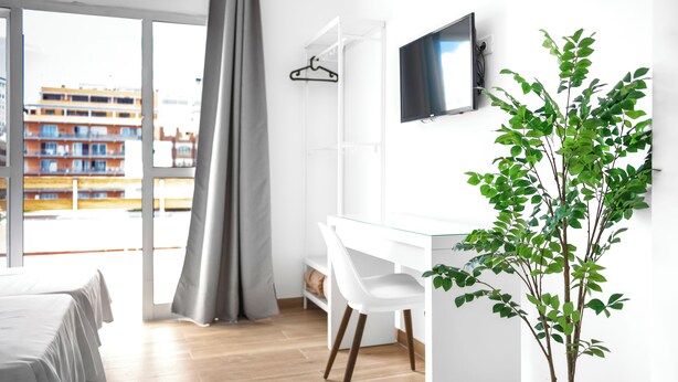 Une chambre d’hôtel moderne dotée d’une grande fenêtre, d’un bureau, d’une chaise, d’un téléviseur et d’une plante en pot.
