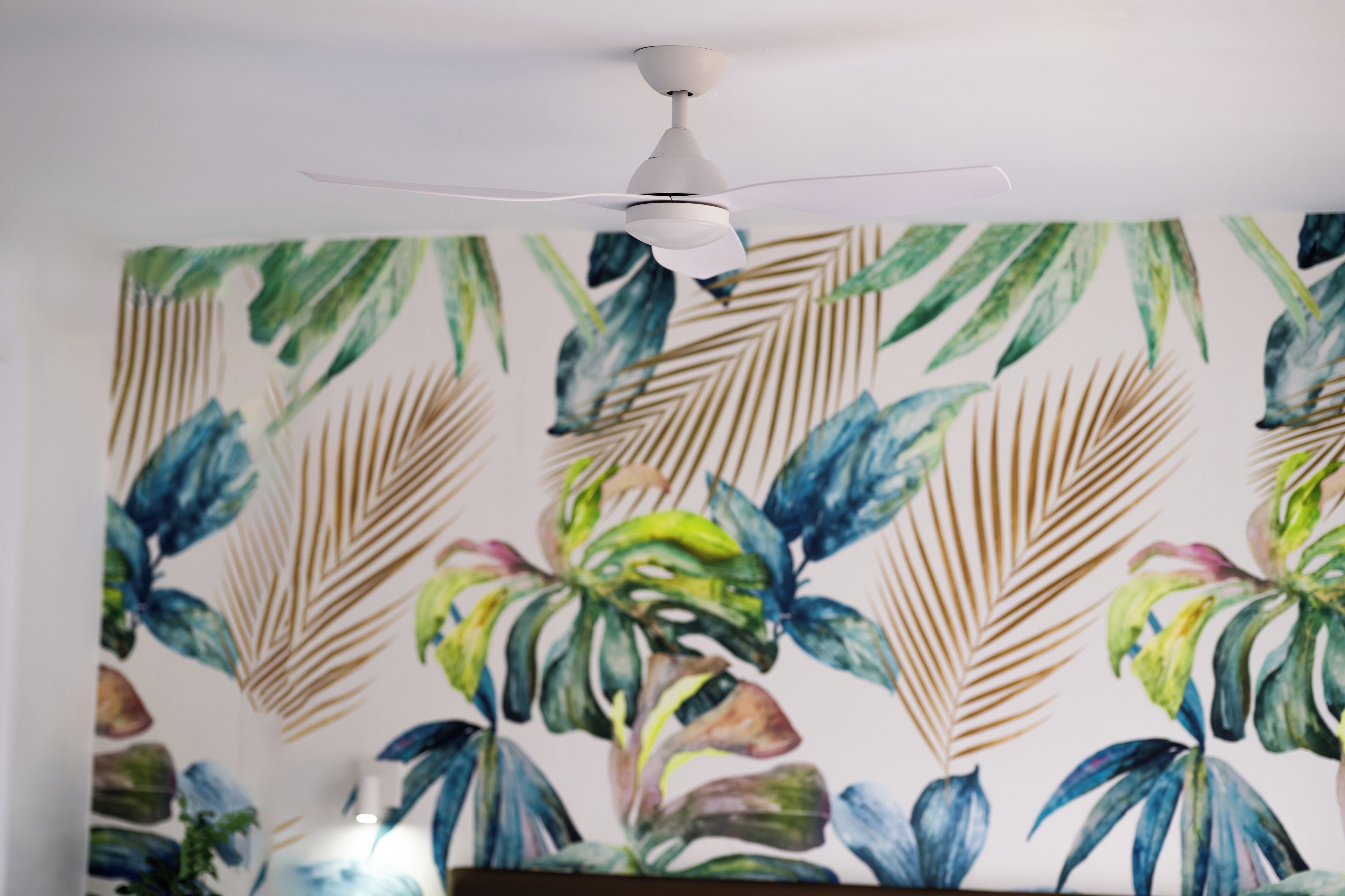 Photo - Hotel Valencia