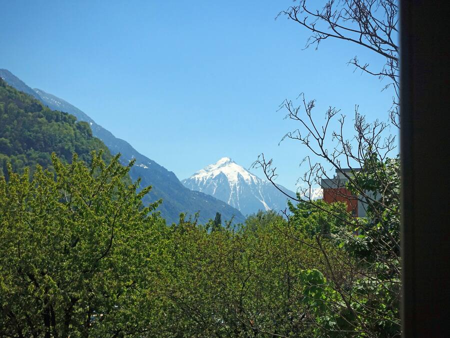 Un paysage de montagne avec un sommet enneigé, un feuillage vert et dense au premier plan, et un ciel bleu clair.