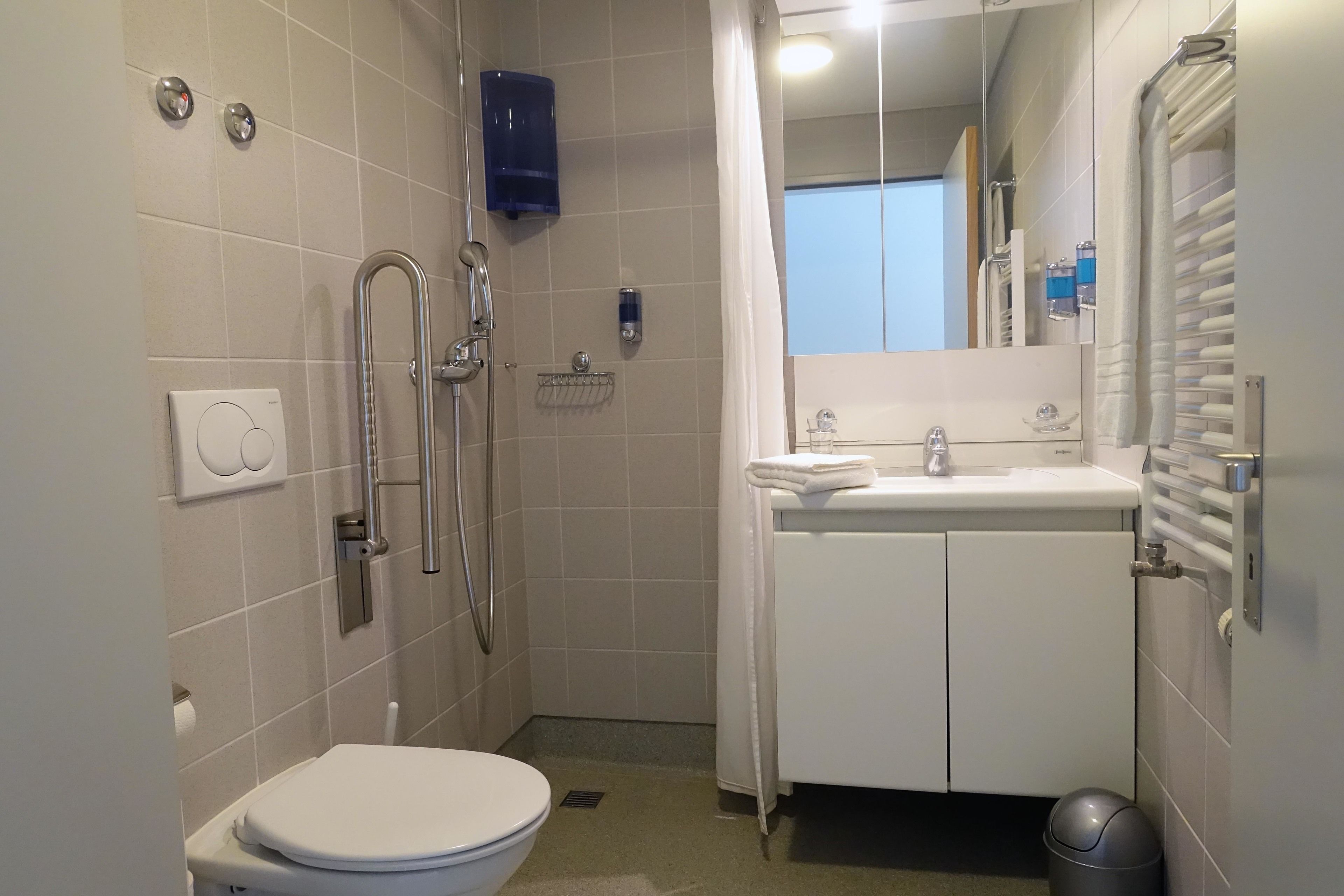 Un baño con inodoro, ducha con puerta de vidrio, lavamanos con espejo y toallero.