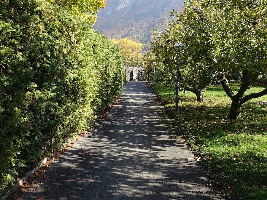 A paved pathway flanked by trees and grass, leading towards a mountainous backdrop.