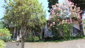 A residential area with a tree and flowering shrub in front of a building with a balcony.