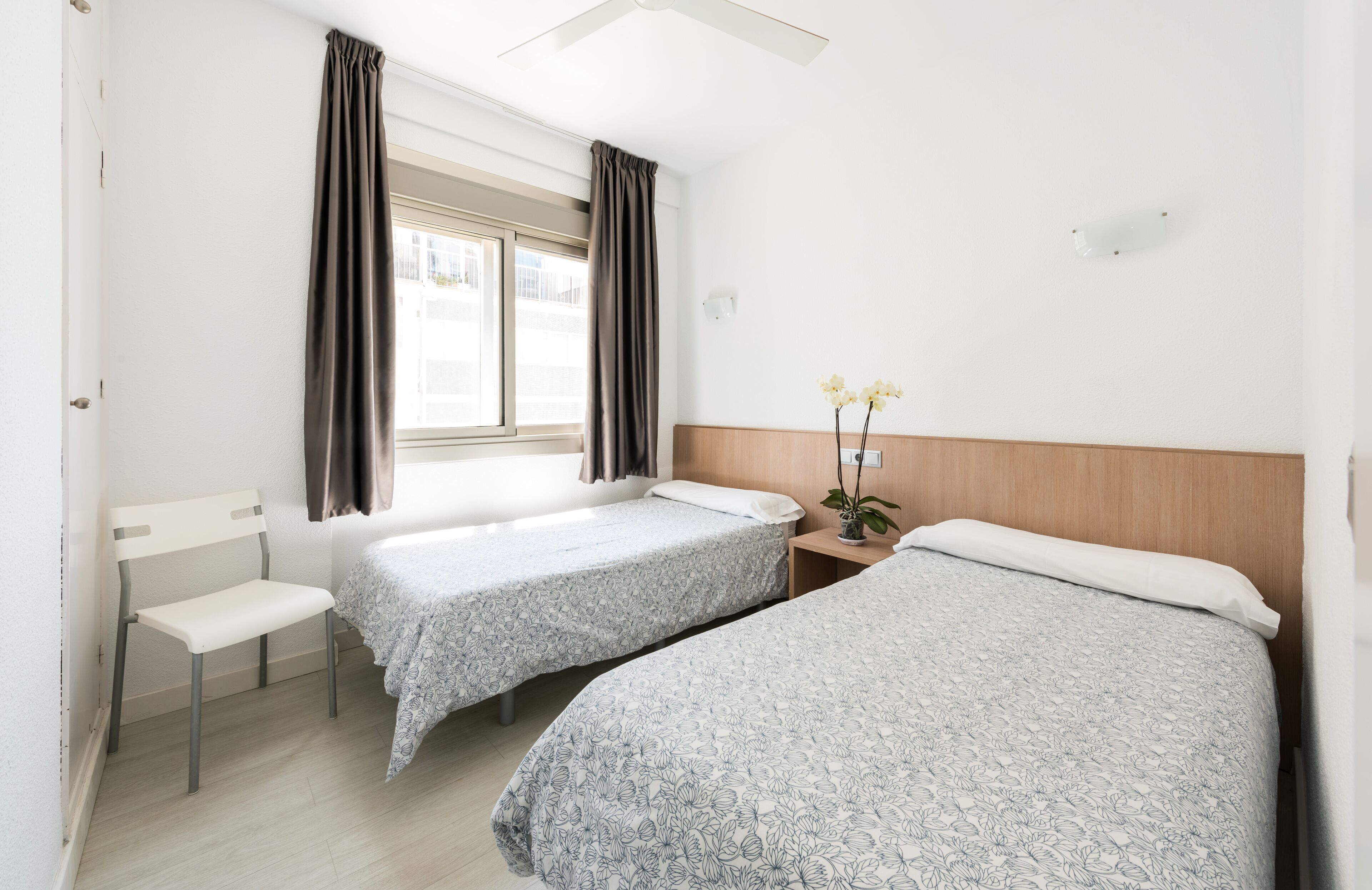 A bedroom with two single beds, a chair, a small table with a plant, and a window with curtains.