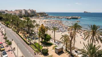 Ein Strand mit Palmen, einer Straße und einer Stadtkulisse im Hintergrund.