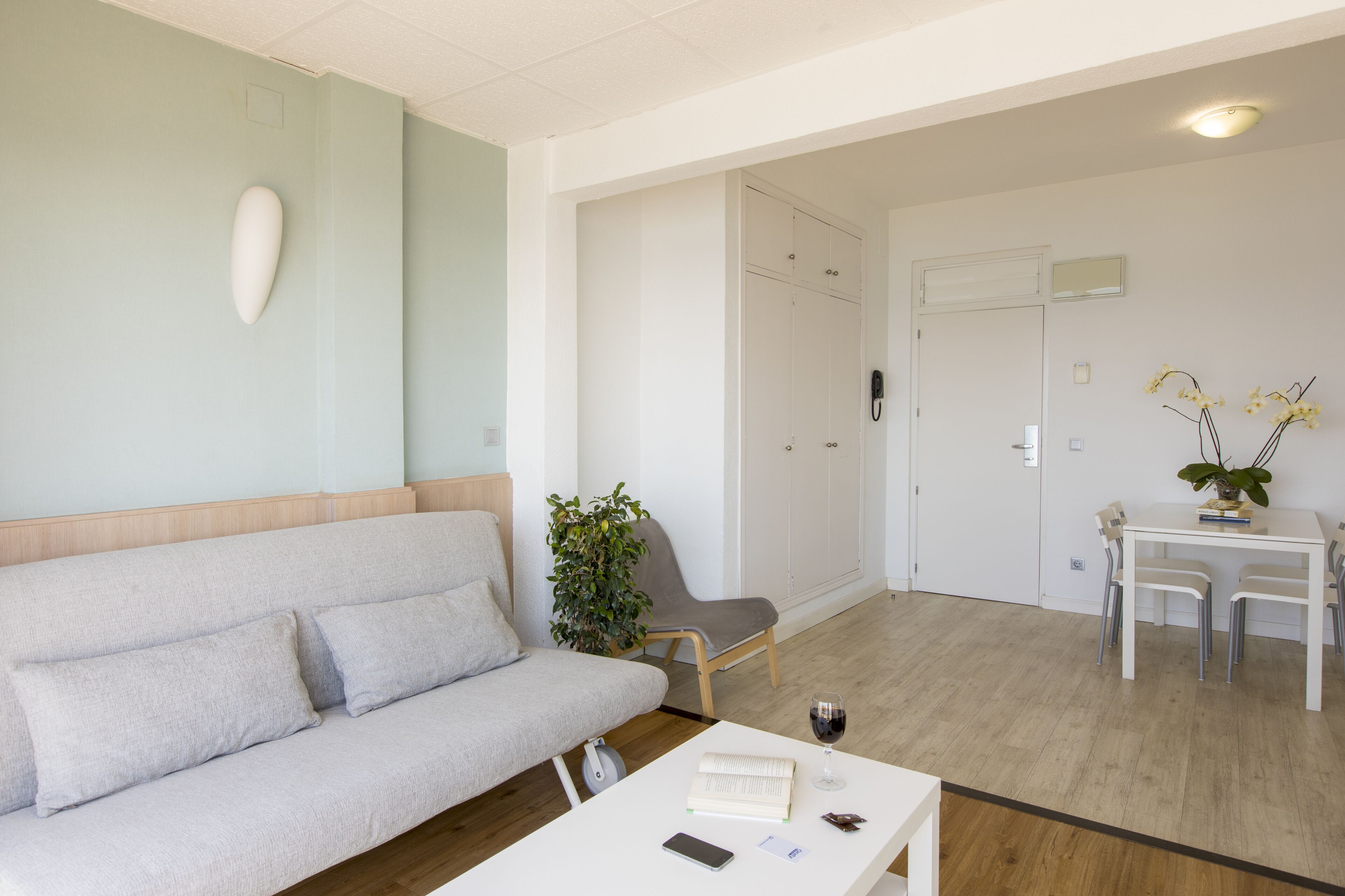 A modern living room with a sofa, a dining table with chairs, a potted plant, and a wine glass.