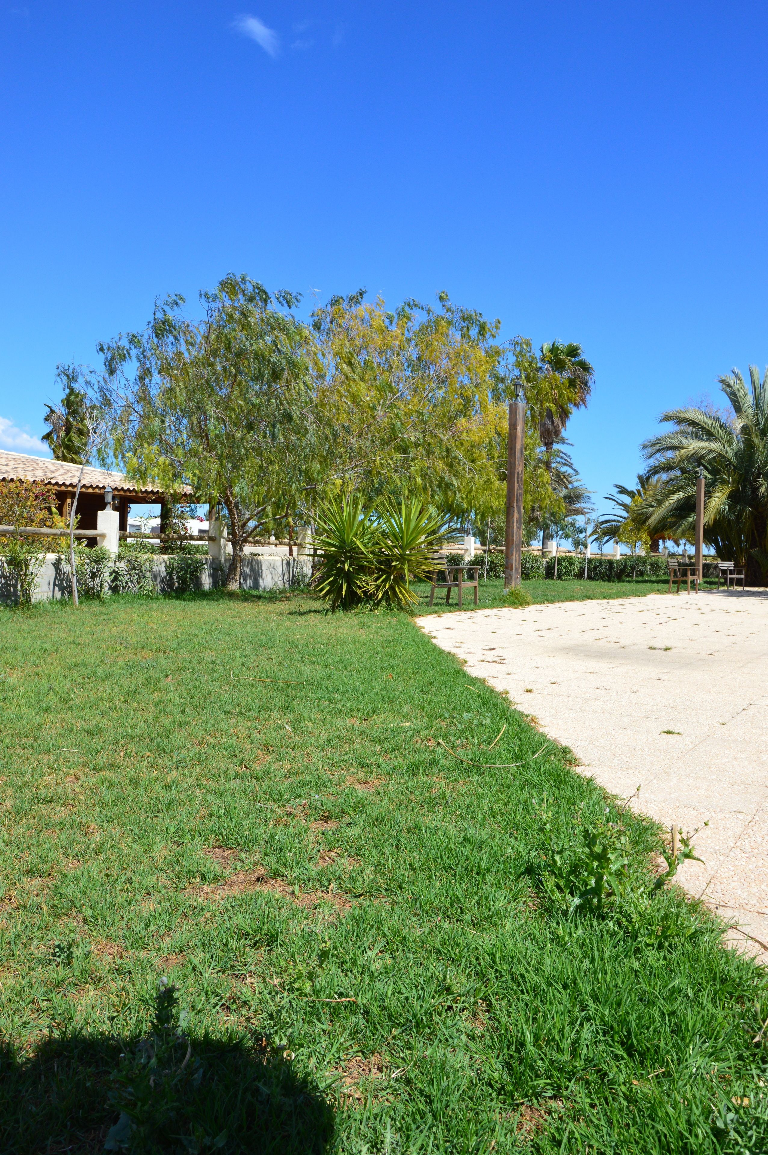 A grassy area with a building in the background and a palm tree.