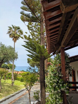 A covered outdoor area with a stone pathway, a palm tree, and a view of the sea. - Villaggio La Pizzuta (Parghelia)