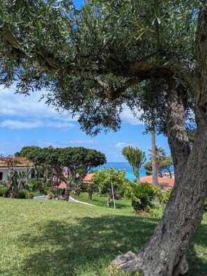 Property grounds - Villaggio La Pizzuta (Parghelia)