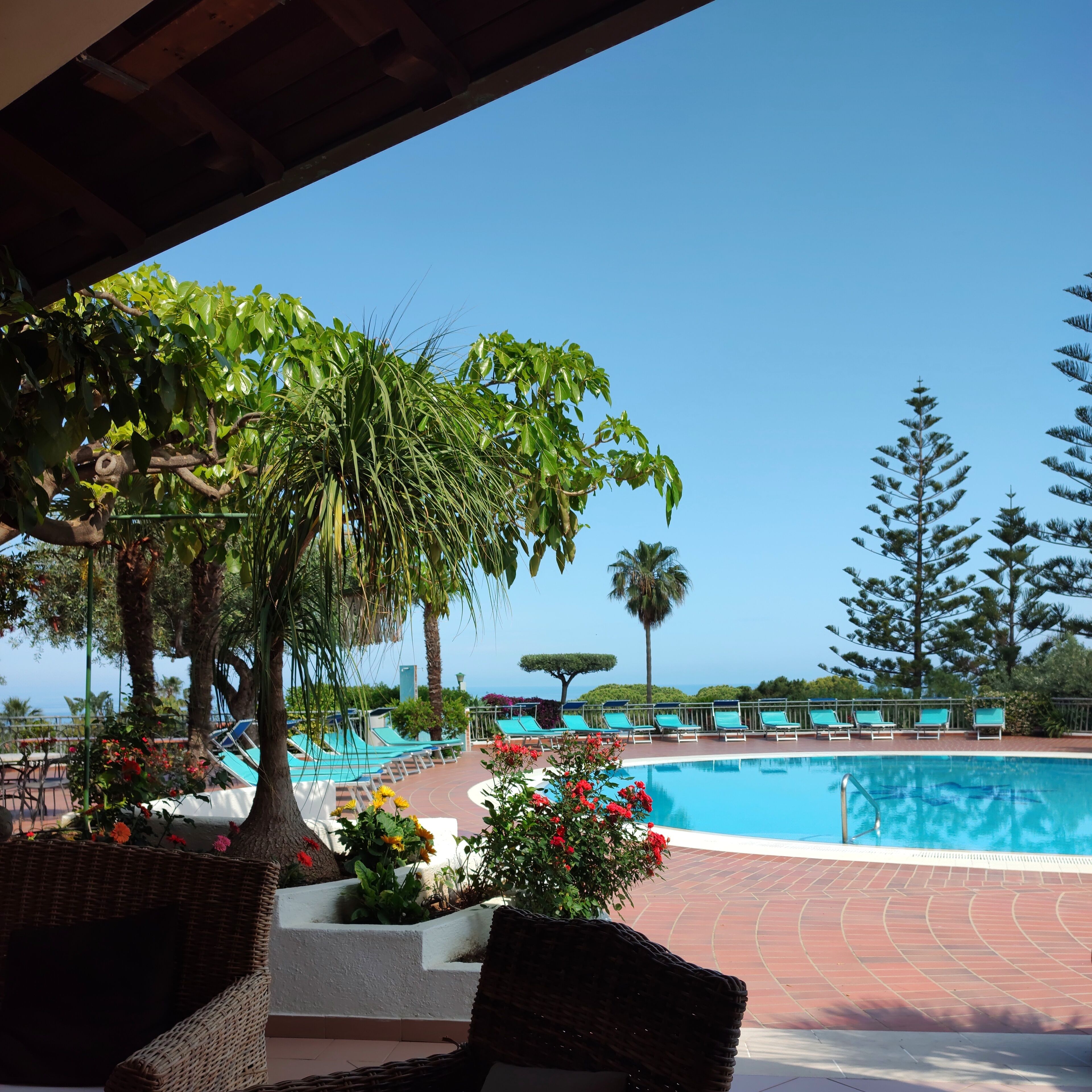 Ein Poolbereich mit Liegestühlen, einer Palme und Blick aufs Meer.