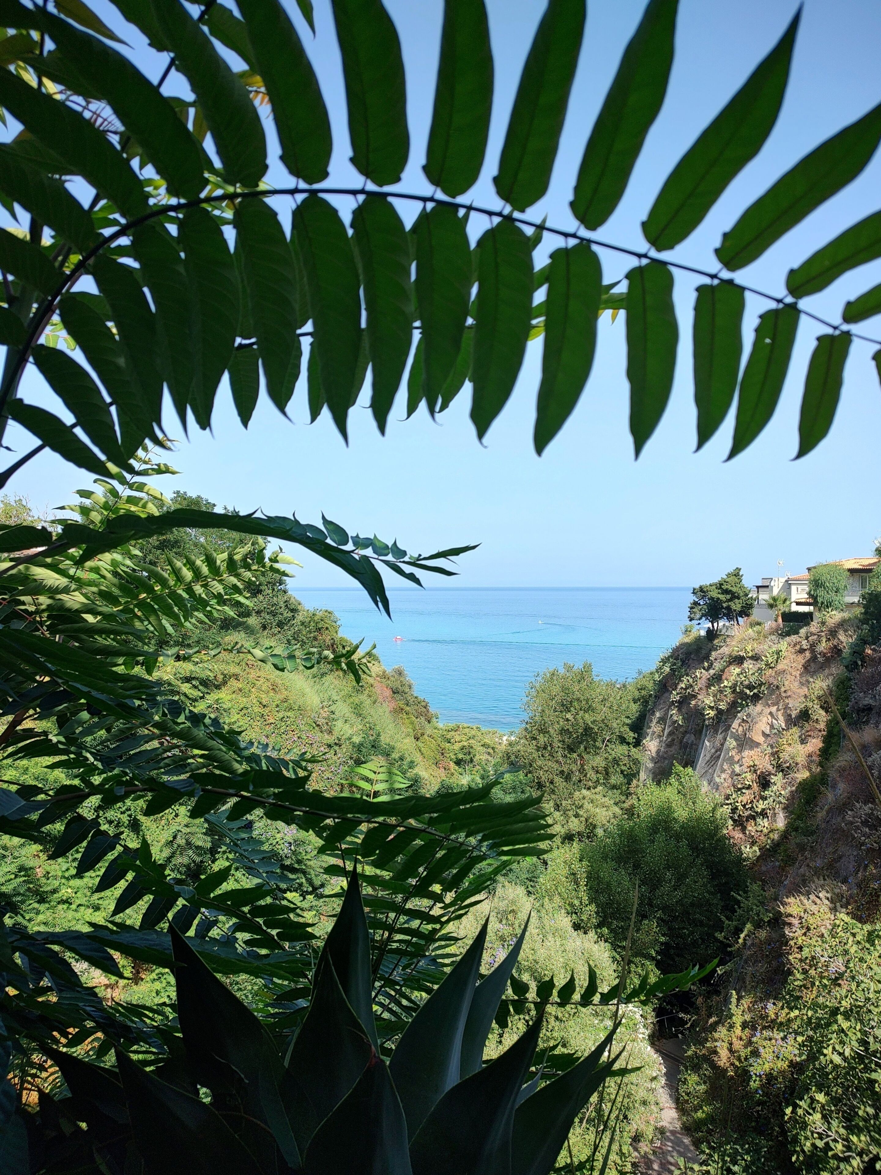 A coastal landscape with dense foliage and a clear view of the sea.