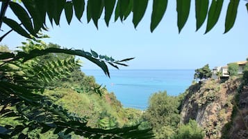 A coastal landscape with dense foliage and a clear view of the sea.